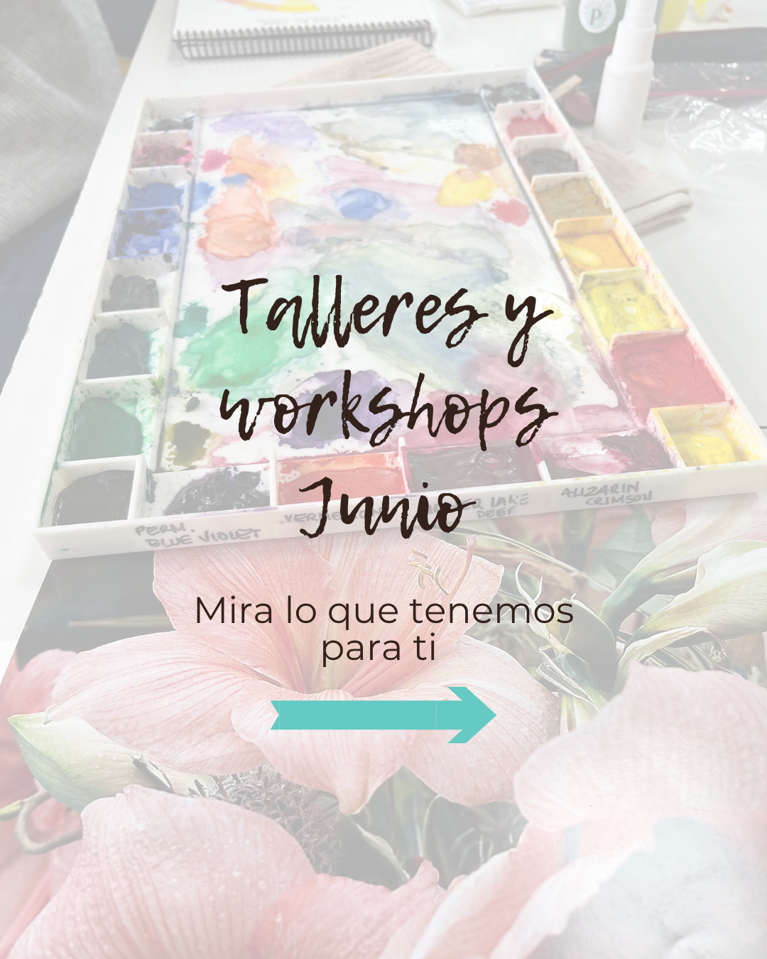 Talleres y workshops del mes de Junio